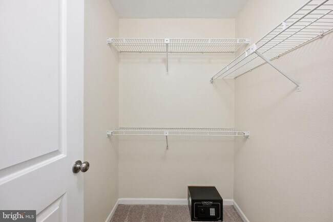 Building Photo - 10703 Hampton Mill Terrace