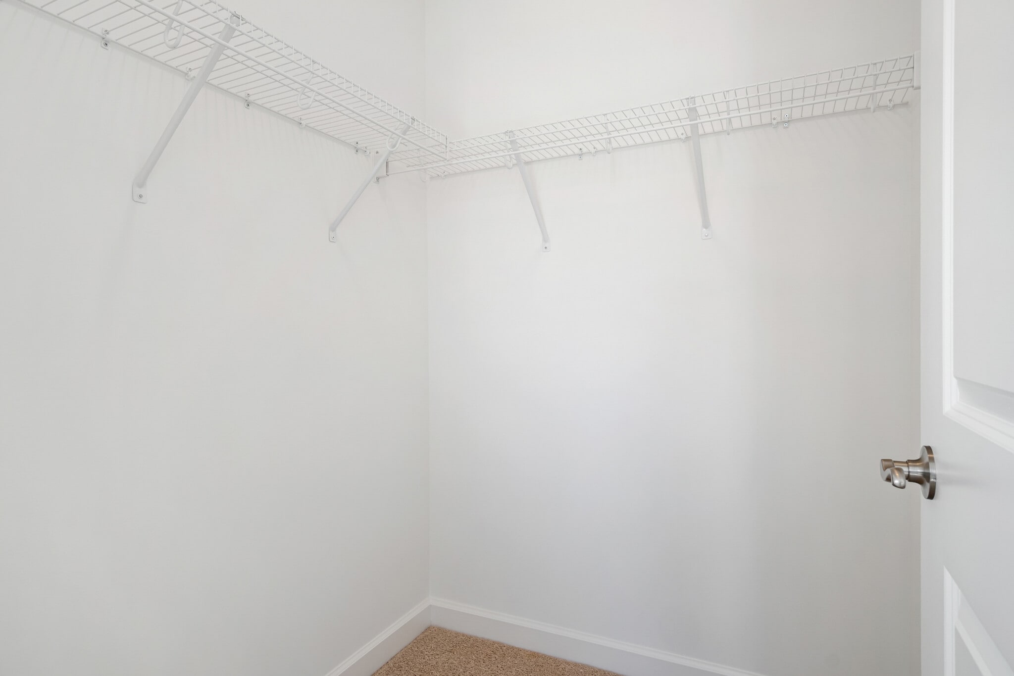 Building Photo - 1101 Balsam Ln