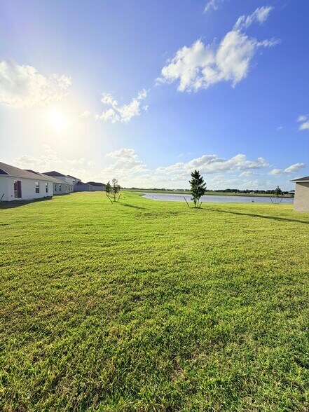 Backyard - 12216 Sydney Ct