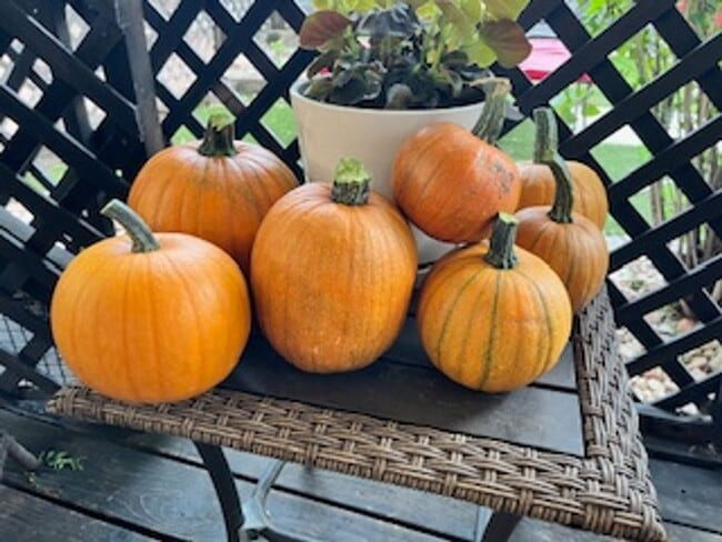 Building Photo - Home Sweet Home Loveland