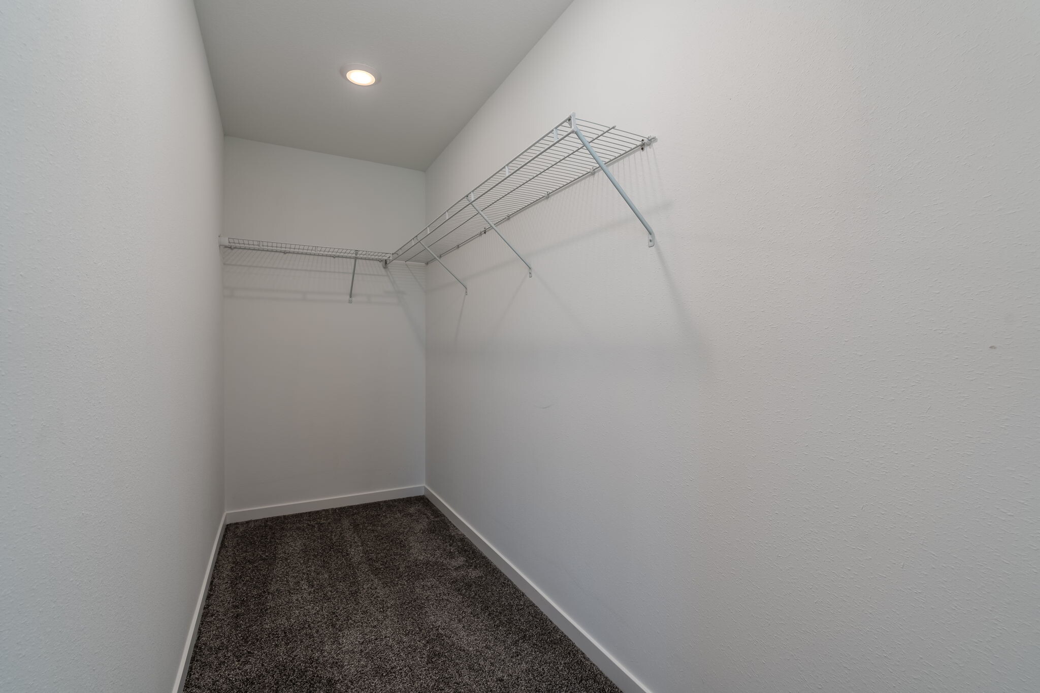 Building Photo - 3104 Scotch Ln