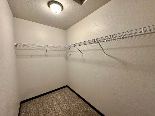 Building Photo - Modern 4 bedroom 2 bathroom home for rent ...
