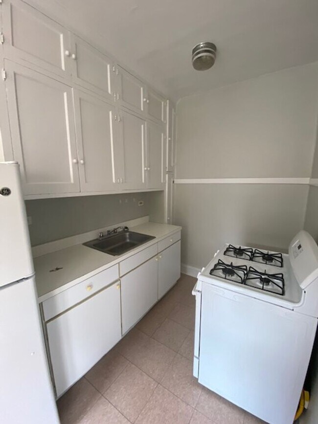 Building Photo - Evanston 1BR! Heat included - Puple Line!