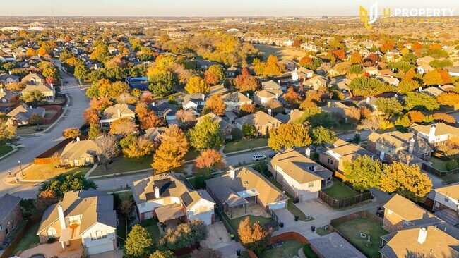 Building Photo - What's special