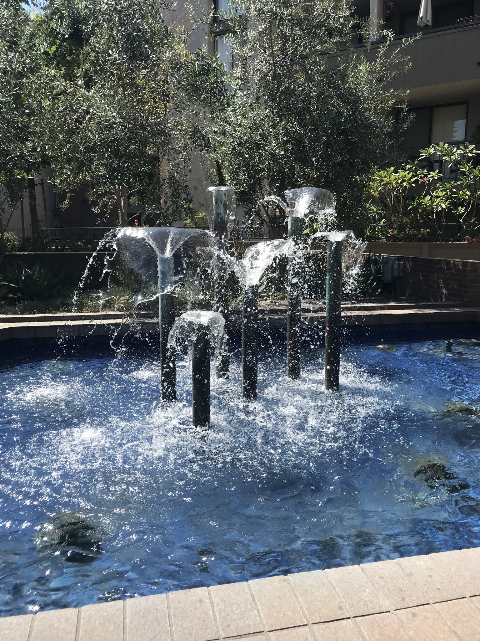 Splashing, cooling fountains throughout - 850 State St