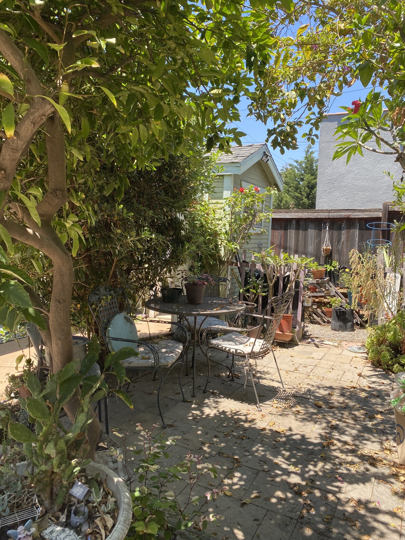 Middle Patio - 1845 Junipero Ave