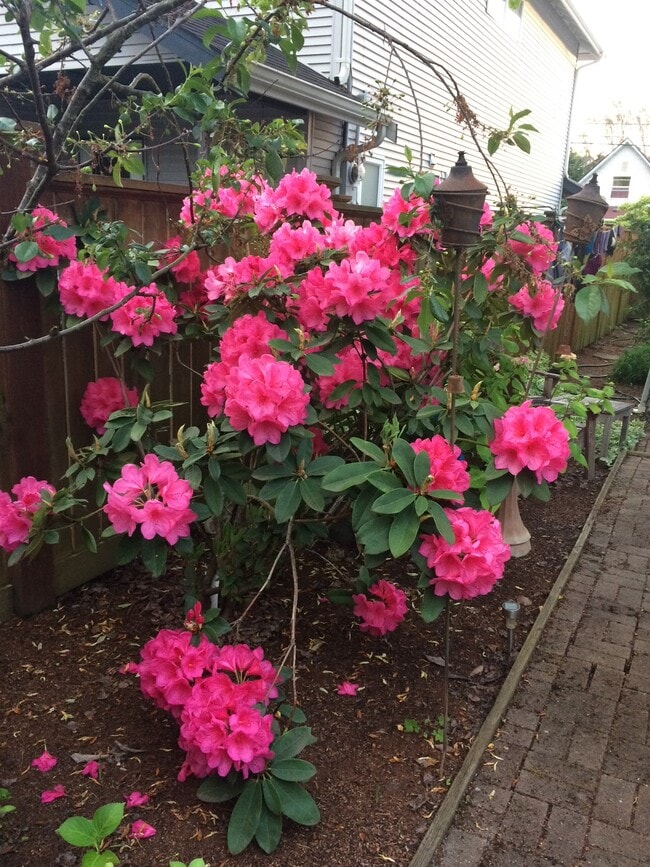 Primary Photo - 1728 26th Ave S