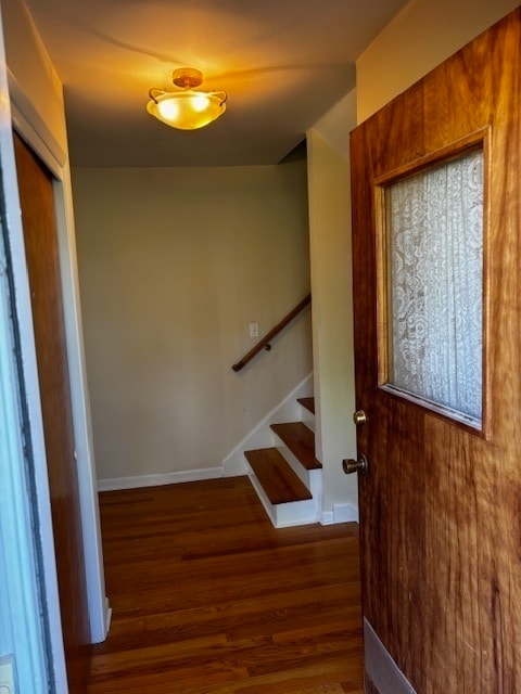 Building Photo - 563 Ivy Ct