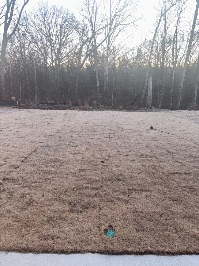 Building Photo - 4316 Oswin Dr