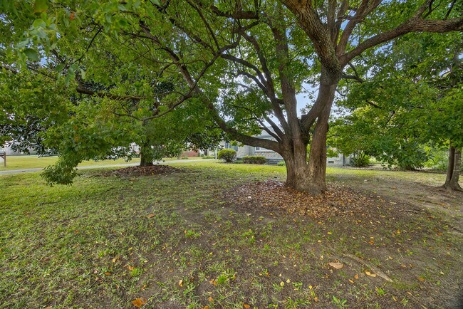 Building Photo - HUGE YARD IN THE HEART OF WECO!