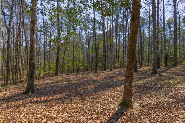 Building Photo - 1026 Denney Rd