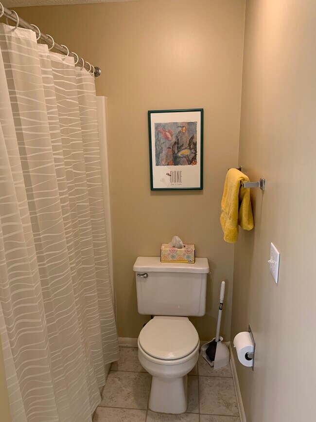 bathroom downstairs - 4244 Mitchell Creek Dr