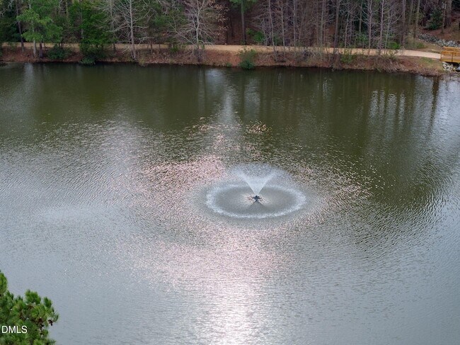 Building Photo - 2816 Piedmont River Way