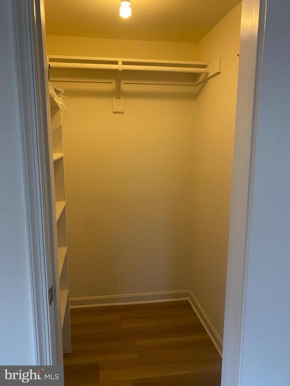 Building Photo - 1816 Queens Ln