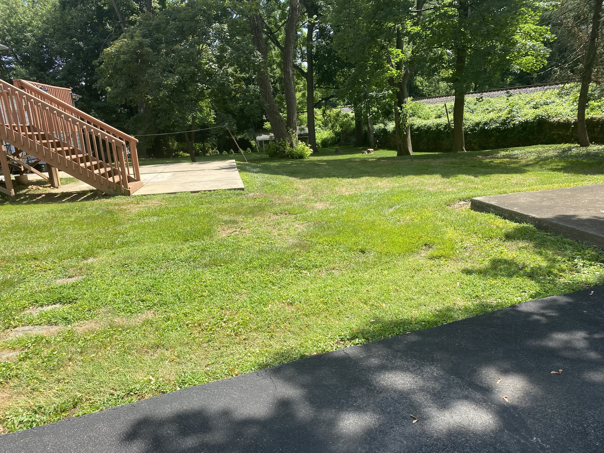 Common backyard - 7936 Montgomery Ave