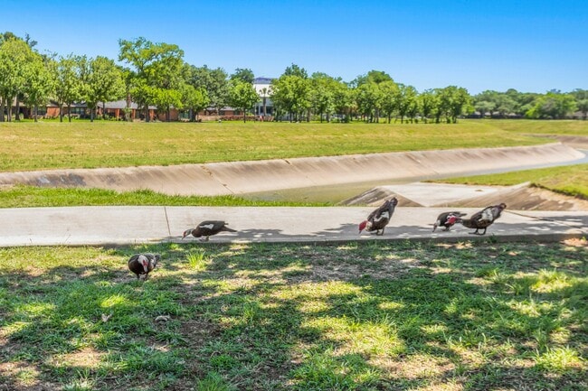 Building Photo - 3601 Murworth Dr