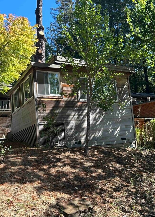 Building Photo - Beautifully Remodeled Studio Downtown