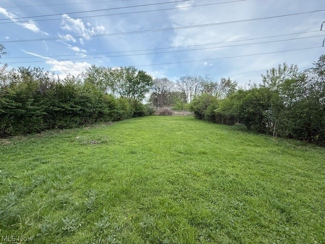 Building Photo - 6446 Wolf Rd