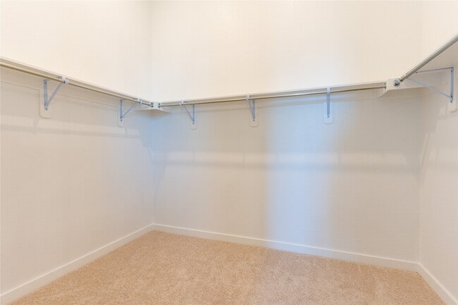 Building Photo - 7310 Camden Crestwood Way