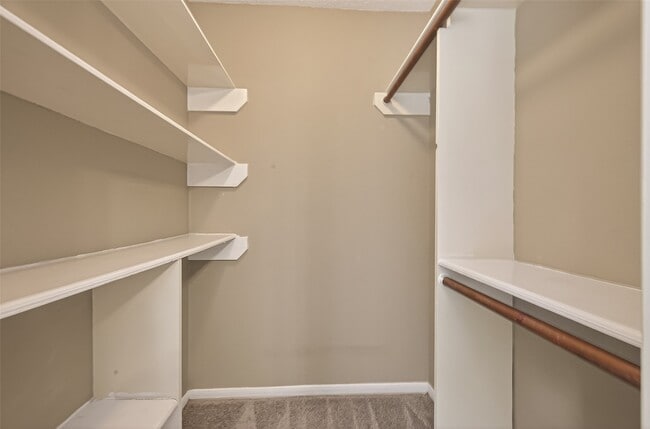 Building Photo - 27 Lush Meadow Pl