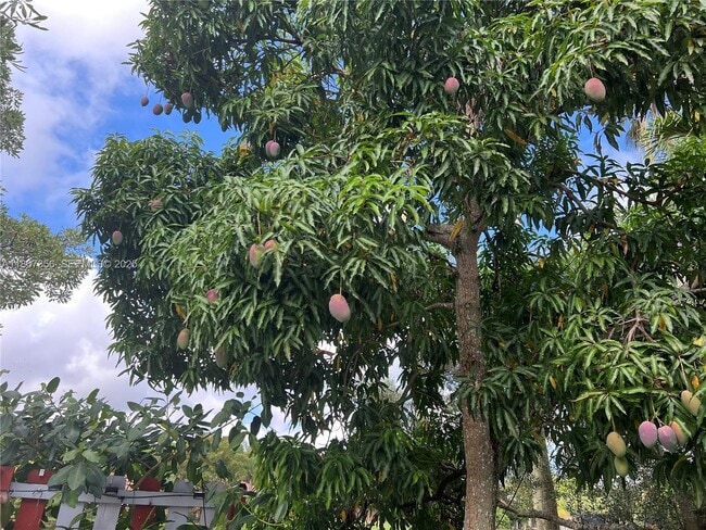 Building Photo - 1544 Springside Dr