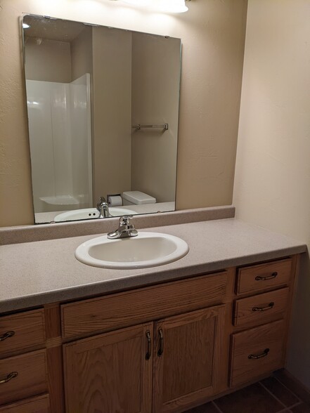 Lower Bath - 5335 Brookview Dr