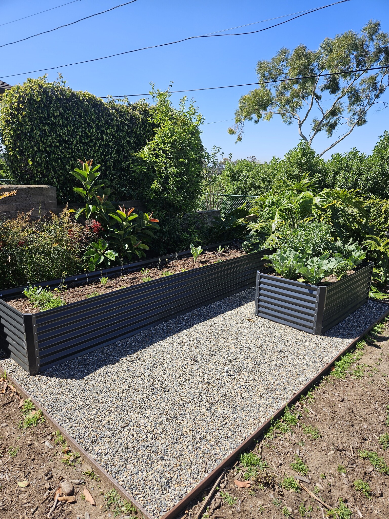 Building Photo - 968 Corte Maria Ave