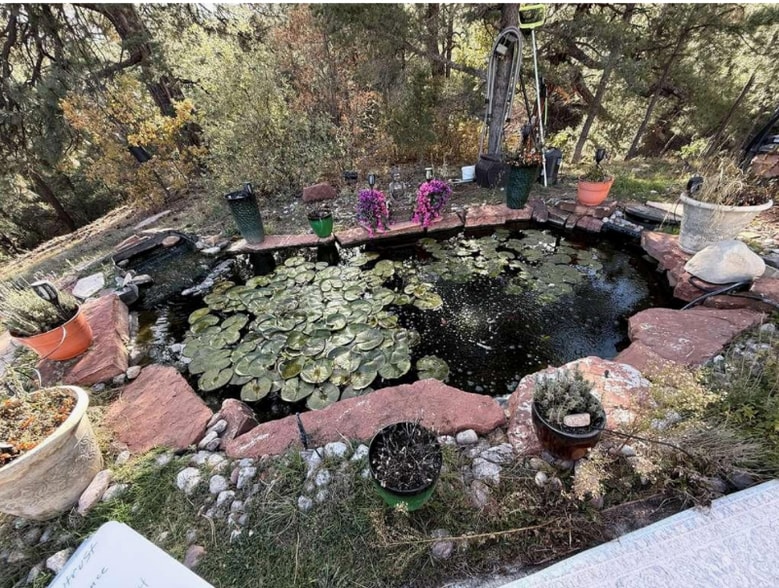 Building Photo - 61 Ortiz Rd