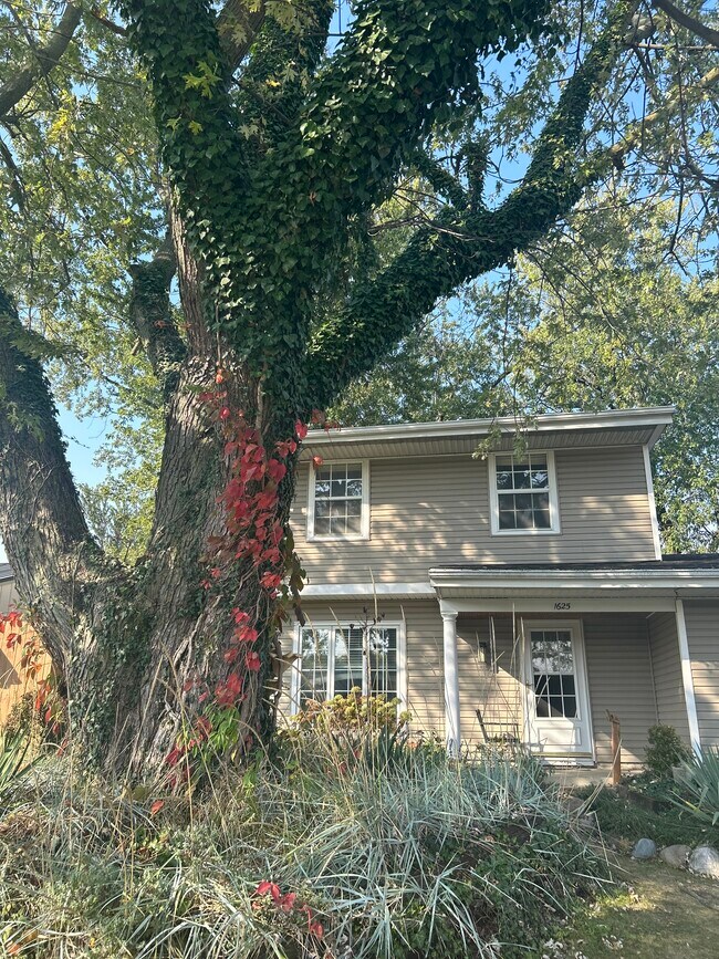 Building Photo - 1625 Tulip Tree Rd