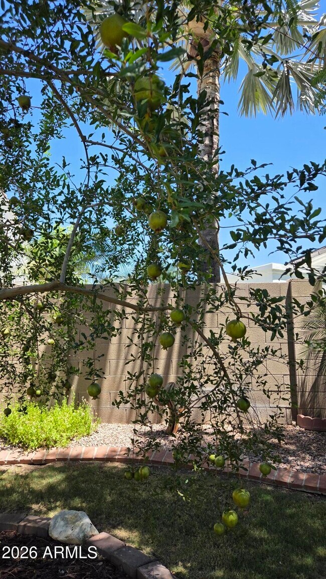 Building Photo - 3020 E Friess Dr