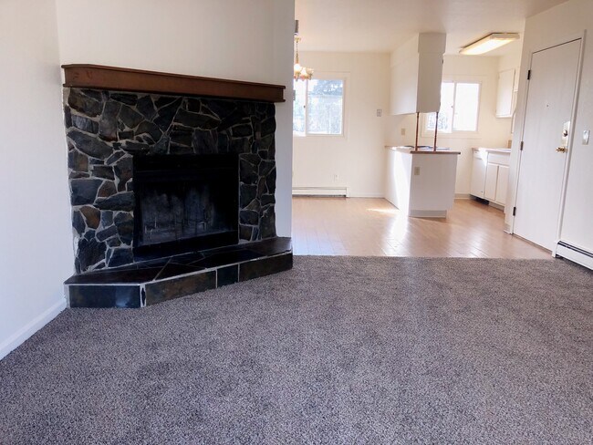 Building Photo - 1103 Broaddus St