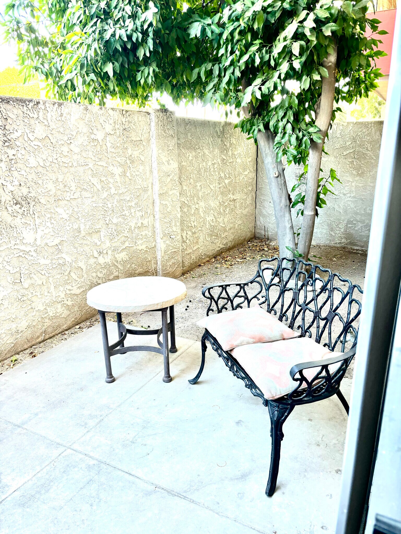 Private court yard with fruit tree - 357 E Thomas Rd