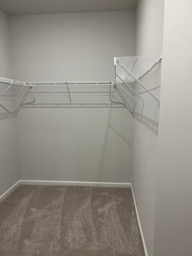 Building Photo - 536 Appaloosa Way