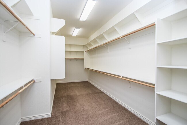 Building Photo - COMING SOON!! Custom single level Luxury home with pool and 4 car garage