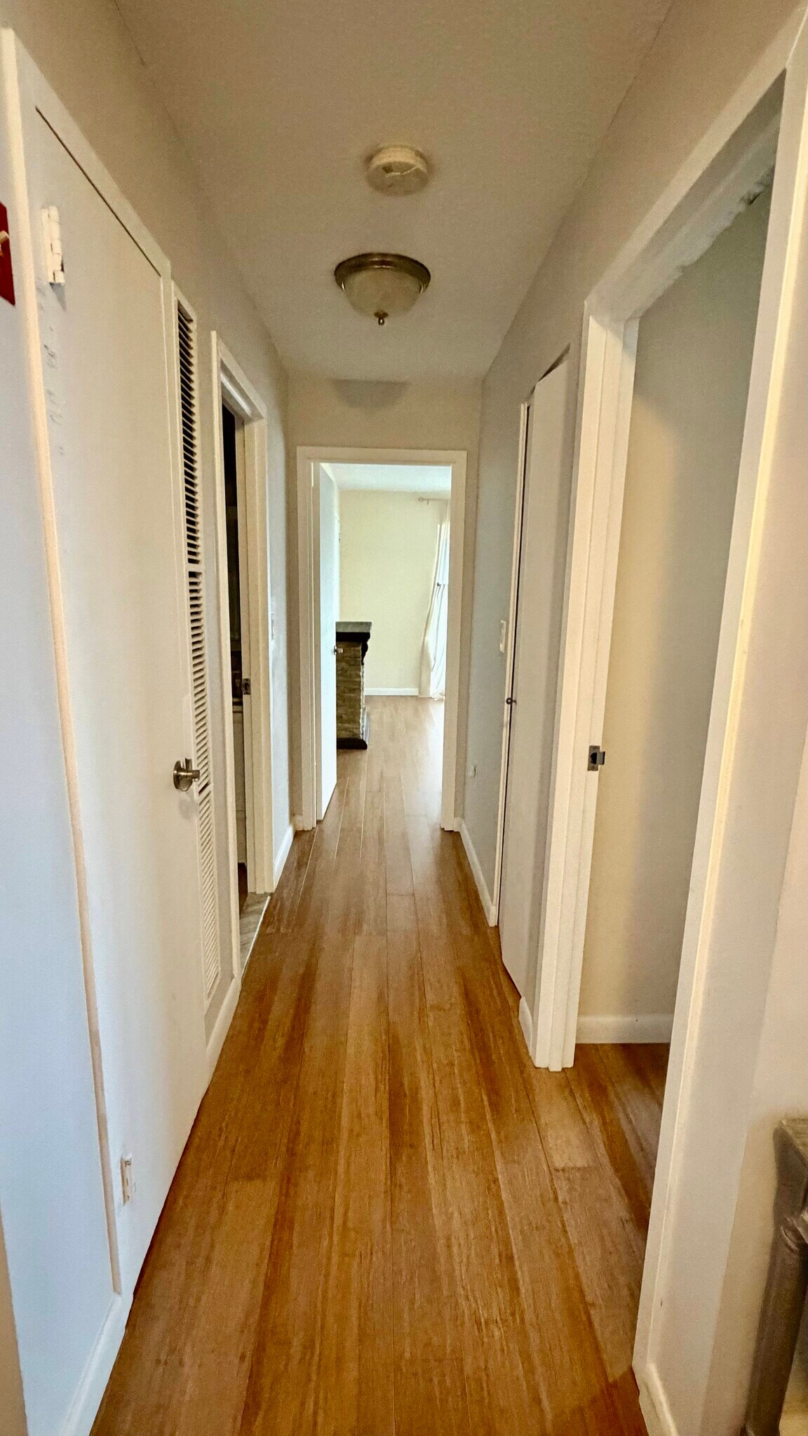 Building Photo - 1004 Paradise Rd