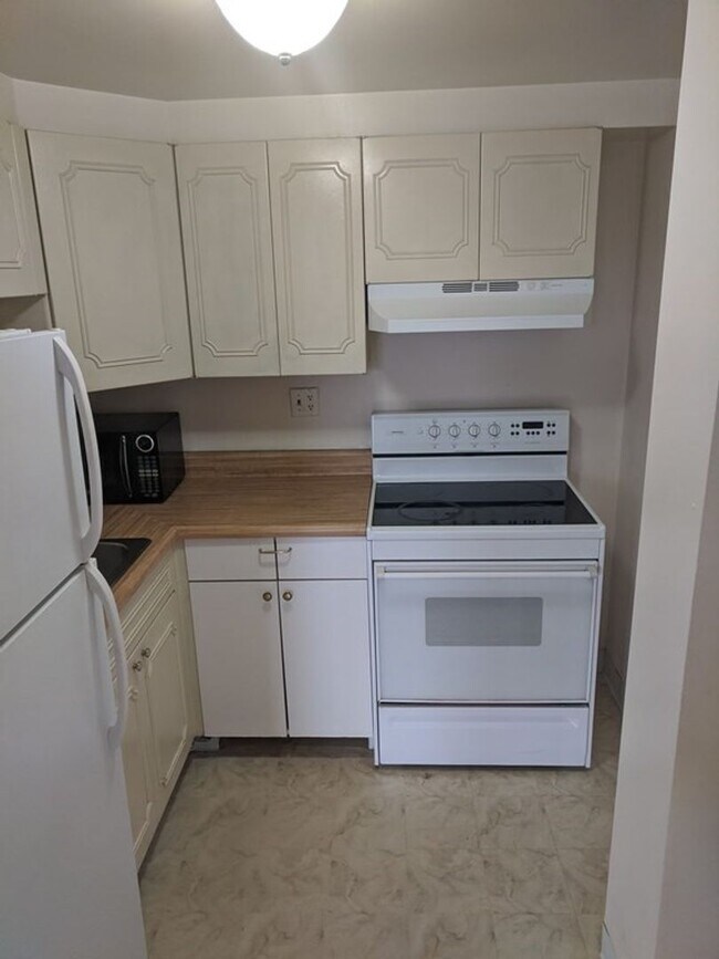 Building Photo - Bright and Spacious Brookline Studio