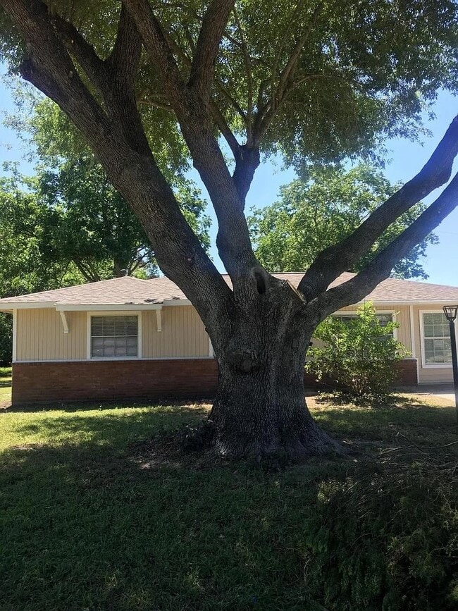 Building Photo - 10614 Edgar St