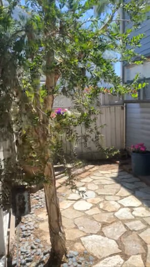 Back garden area - 24561 Harbor View Dr