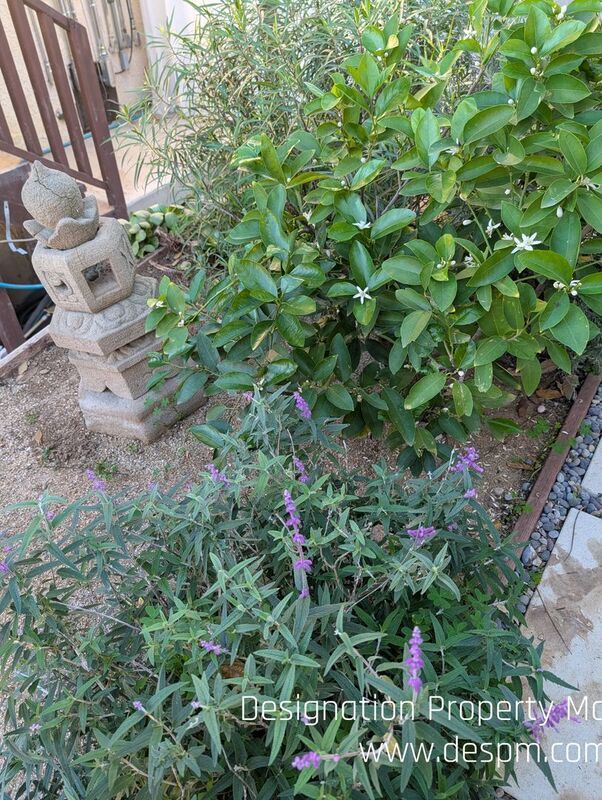 Building Photo - 6208-6212 Roy St