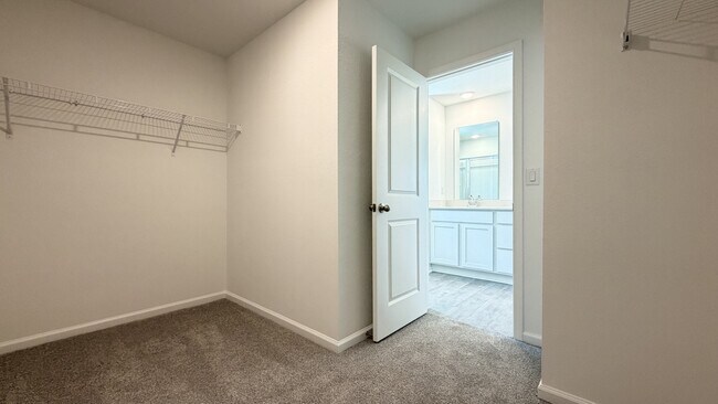 Building Photo - 6039 Oracle Ct