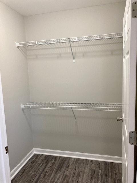 2nd Bedroom Closet - 1223 E Waldburg St