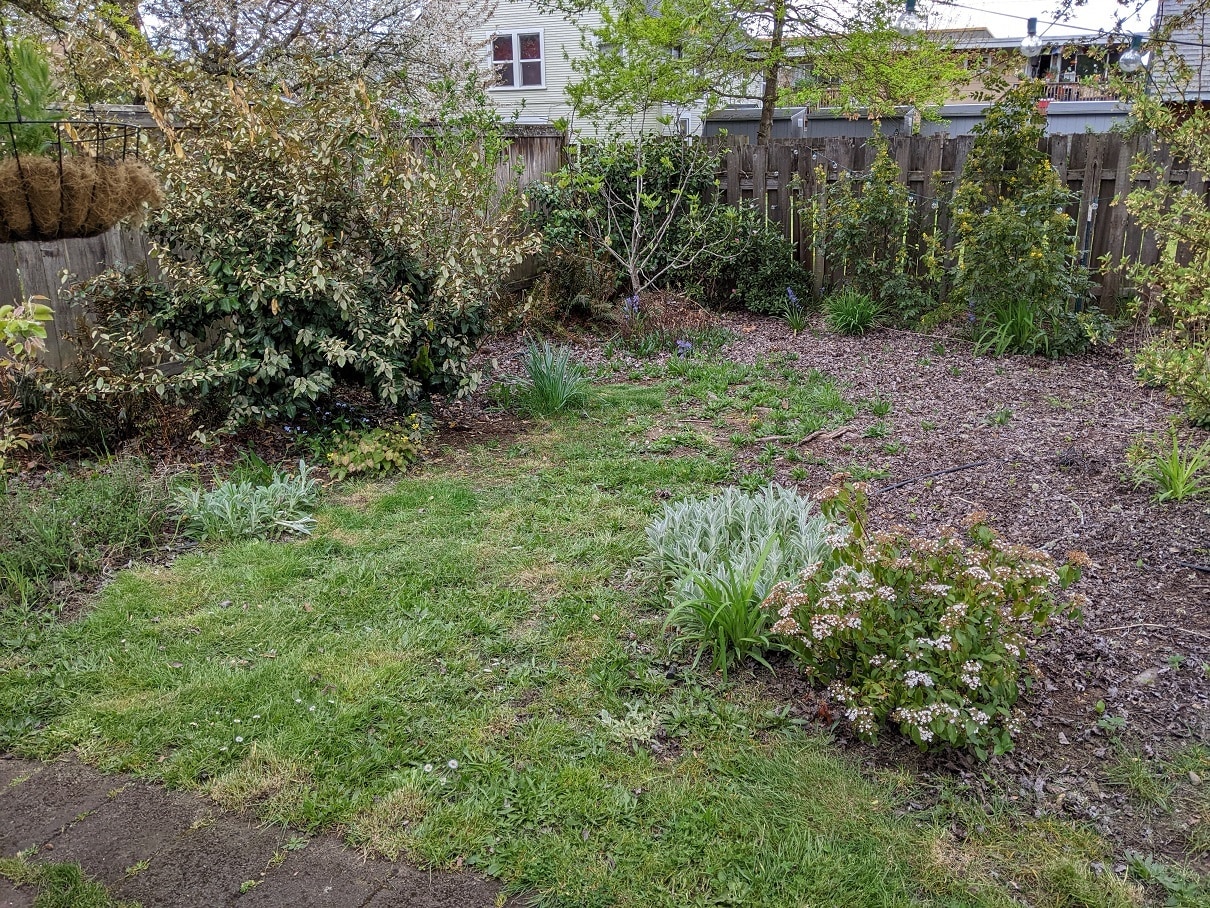 Backyard (4) - 1124 Almaden St