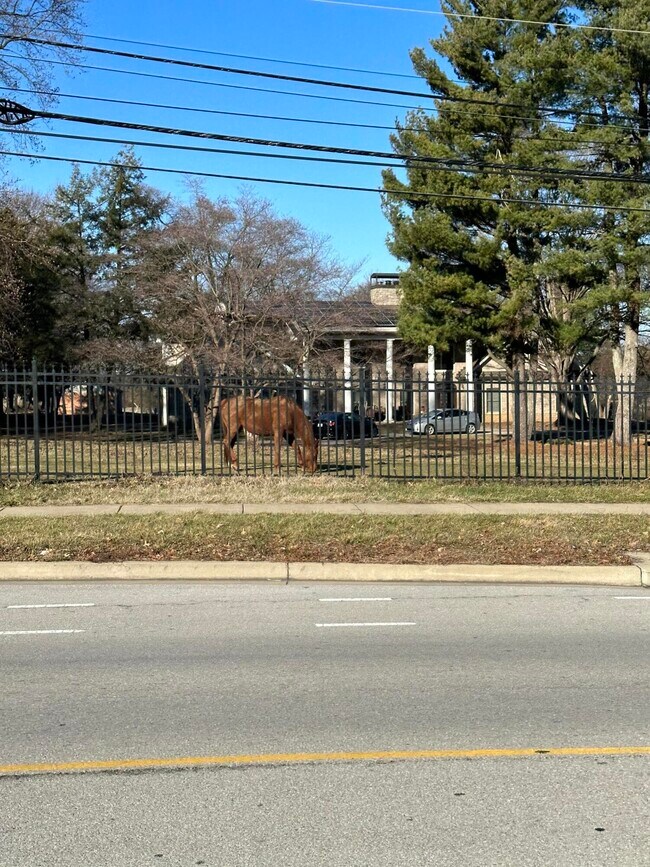 Building Photo - 600 Vincent Way