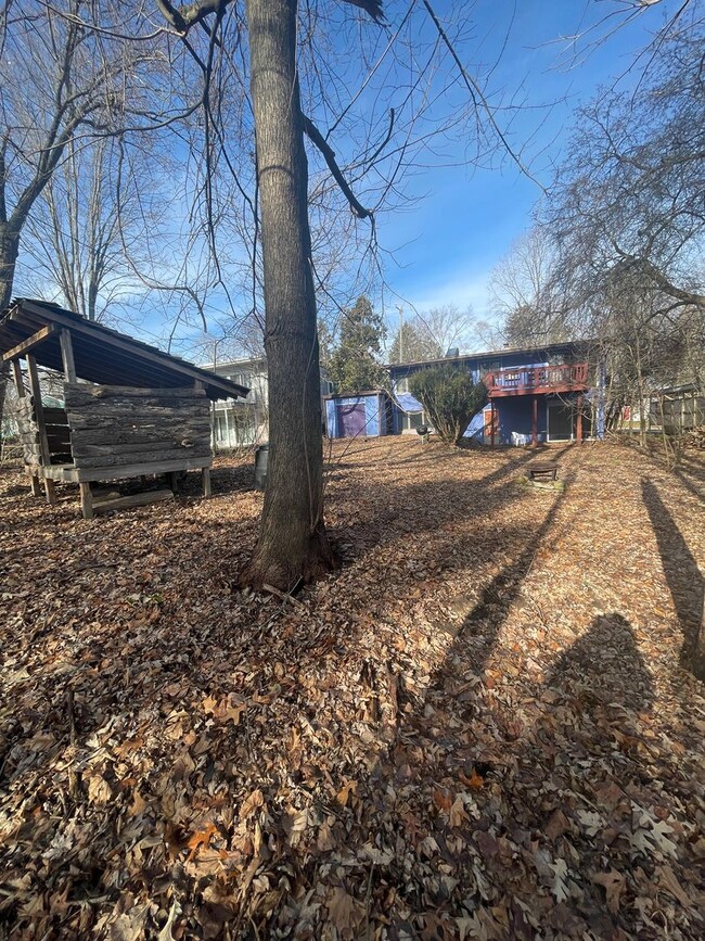 Building Photo - 4 Bed / 2 Bath Home Near Virginia Park | Flexible Move-in Date