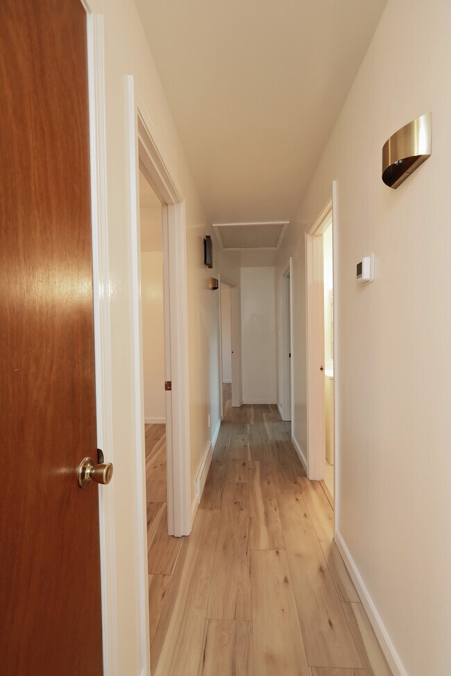Building Photo - 2509 Paddock Ct