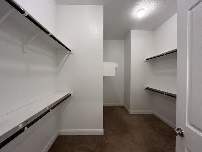 Building Photo - 3005 Zelma Dr