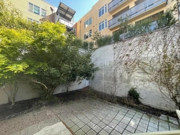 Backyard 3 - 535 30th St