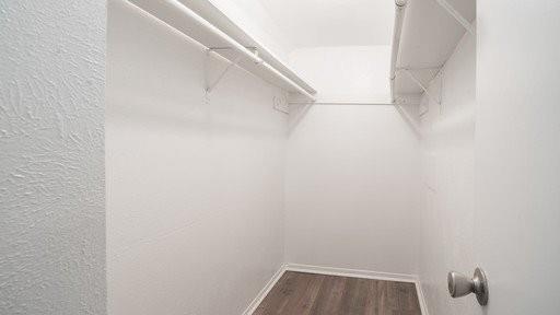 Building Photo - 2909 Lucas Dr