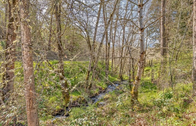 Building Photo - 2677 Humbug Creek Rd