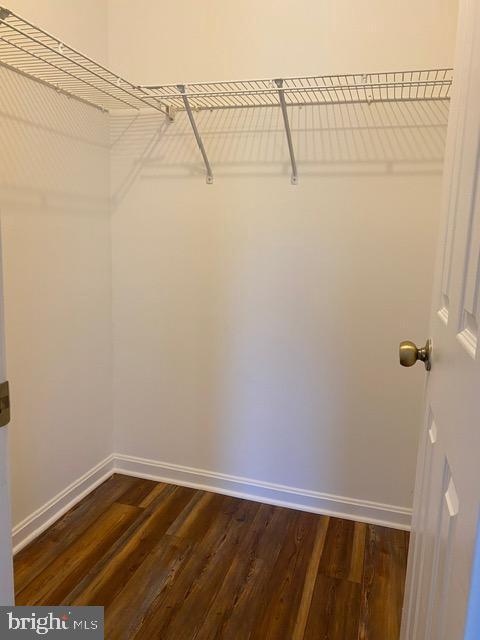 Building Photo - 3504 Emperor Ct